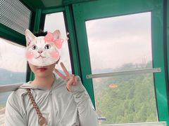 -铜川市金锁关石林