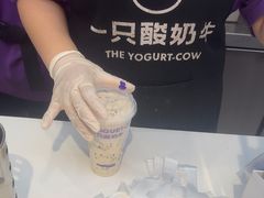 -一只酸奶牛(时代天街A馆店)