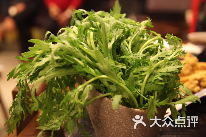 刁馋火锅-青菜-菜-青菜图片-北京美食-大众点评网