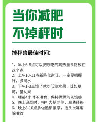 -Fundi张玉珊修身堂·indiba·BTL科技瘦身