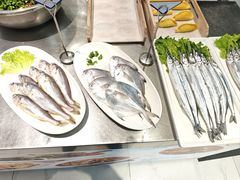 -大锅强·蒸海鲜青岛菜(金沙滩店)