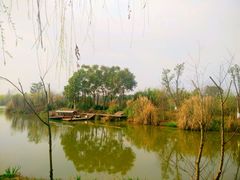 -白鹭湾湿地公园