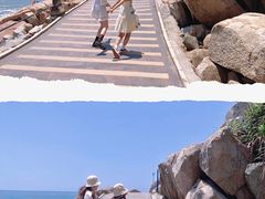 -广东惠东海龟国家级自然保护区