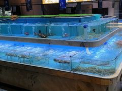 -太古汇海鲜姿造(延寿店)