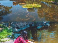 -承德避暑山庄景区