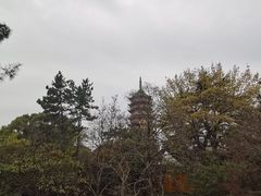 -北寺塔