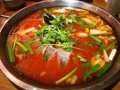 -新凯里酸汤鱼(飞山街店)