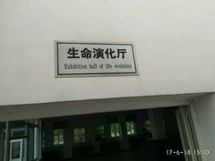 生命演化厅-六合国家地质公园桂子山景区