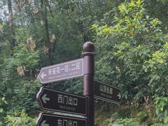 -天鹿湖森林公园