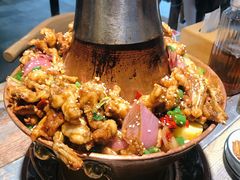 蛙麻蛙辣炭火蛙锅-蛙麻蛙辣炭火蛙锅(南环大街店)