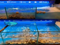 -太湖饭店玉兰厅(自助餐厅)