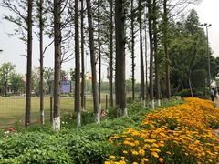 -上海长兴岛郊野公园