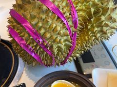 -半岛听涛蒸汽海鲜自助(K11店)