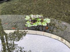 -厦门高崎国际机场-T3航站楼