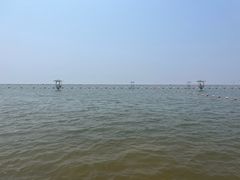 -碧海金沙