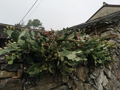 -许家山