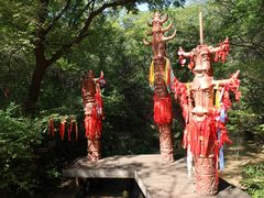 -大青沟风景区