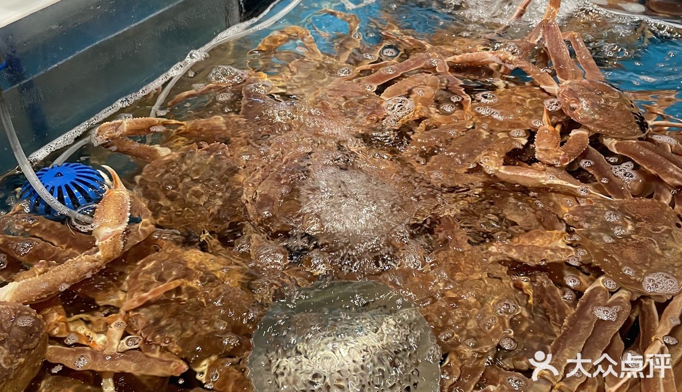 不负美食,自助餐大满足!