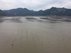 -北岐滩涂