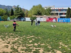 -趣玩宠物乐园寄养训犬训狗游泳池