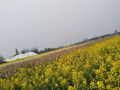 -中国天府农业博览园