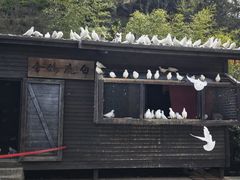 -白鹿原影视城