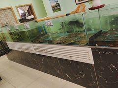 -过山风酒楼(白云观街北里小区店)