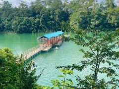 -广州市流溪河国家森林公园
