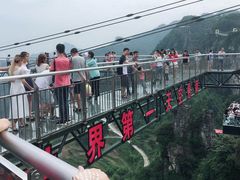 -梦幻奥陶纪景区