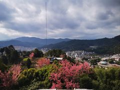 -墨江北回归线标志园
