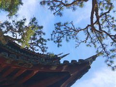 -龙华寺