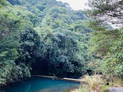 -广州市石门国家森林公园