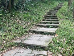 -杭州半山国家森林公园