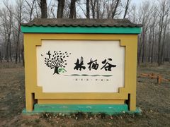 -林栖谷森林康养度假区