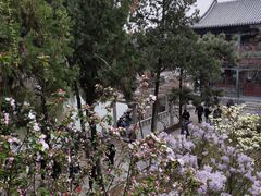 -莲池书院博物馆