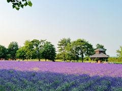 -富田农场
