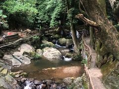 -灵光寺