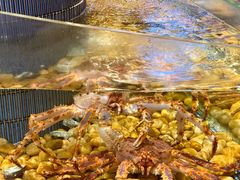 -顺风山庄(水濂山店)