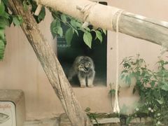 -青藏高原野生动物园