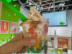 -Salud撒露欧洲冻酸奶(北苑上品店)