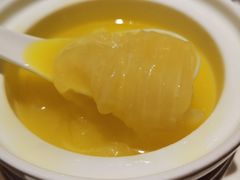 -半岛翡丽海鲜自助餐厅(观风亭店)