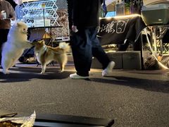 -杭州师范大学(下沙校区)