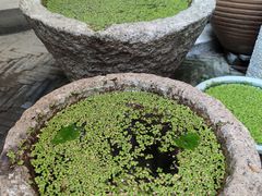 -金谷里艺术馆