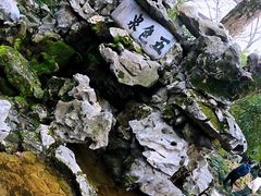 -上海醉白池公园