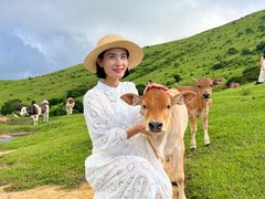-大姆山草场