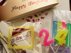 生日帽、数字蜡烛、可爱的刀叉-维尔纳斯·生日蛋糕动物奶油冰淇淋蛋糕(人大店)