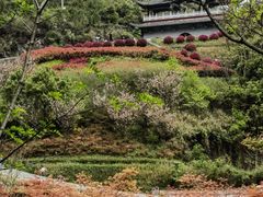 -中国黔江城市大峡谷