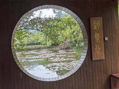 -野象谷景区