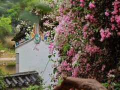 -深圳国际园林花卉博览园