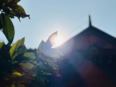 -重庆市江北嘴中央商务区中央公园